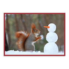 Snow Friends Holiday Half Notecards by Galison, Vadim Trunov, 9780735347403