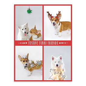Festive Furry Friends Deluxe Holiday Notecards by Galison, Emily Wang, 9780735347434