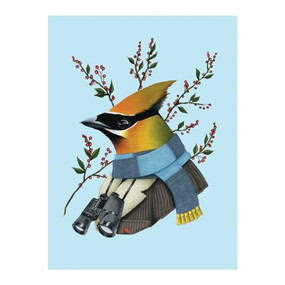 Berkley Bestiary Winter Waxwing Large Embellished Holiday Notecards by Galison, Berkley Illustration, 9780735352315