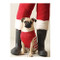 Pug Elf Holiday Half Notecard by Galison, Jennifer Adams, 9780735352322