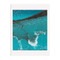 MoMA Earth & Sky Notecard Folio Box, 9780735355361