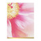 Ashley Woodson Bailey Greeting Assortment Notecard Set (Miniature Edition) by Galison, Ashley Woodson Bailey, 9780735355934