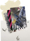 Christian Lacroix Orchid's Mascarade Notecard Set by Christian Lacroix, Galison, 9780735356443