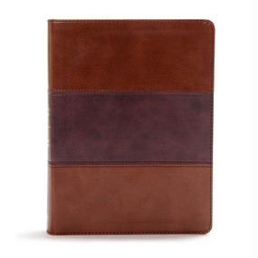 CSB Apologetics Study Bible, Mahogany LeatherTouch by CSB Bibles by Holman, 9781433651236