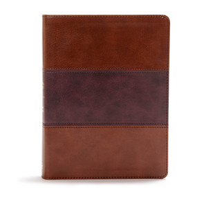 CSB Apologetics Study Bible, Mahogany LeatherTouch, Indexed by CSB Bibles by Holman, 9781433651243