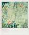 Polaroid Notes (20 Different Notecards and Envelopes) by Jenifer Altman, 9780811870979