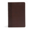 The CSB Study Bible For Women, Chocolate LeatherTouch by CSB Bibles by Holman, Dorothy Kelley Patterson, Rhonda Harrington Kelley, 9781433651311