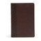 The CSB Study Bible For Women, Chocolate LeatherTouch (Faithful and True) by Dorothy Kelley Patterson, Rhonda Harrington Kelley, CSB Bibles by Holman, 9781433651311