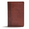 CSB Everyday Study Bible, British Tan LeatherTouch (Black Letter, Study Notes, Illustrations, Aricles, Easy-to-Carry, Ribbon Marker, Easy-to-Read Bible Serif Type) by CSB Bibles by Holman, 9781462796946