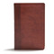 CSB Everyday Study Bible, British Tan LeatherTouch by CSB Bibles by Holman, 9781462796946