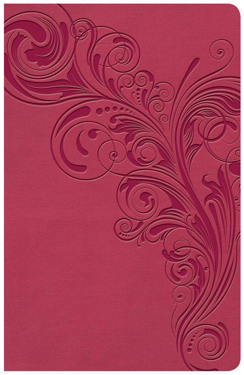 KJV Large Print Personal Size Reference Bible, Pink LeatherTouch Indexed by Holman Bible Publishers, 9781535935661