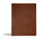 CSB Life Connections Study Bible, Brown LeatherTouch, Indexed (For Personal or Small Group Study) by Lyman Coleman, CSB Bibles by Holman, 9781433619540