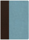 CSB Life Essentials Interactive Study Bible, Brown/Sky LeatherTouch by Gene A. Getz, David  K. Stabnow, 9781535956482