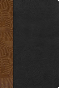 RVR 1960 Biblia de Estudio Arcoíris, tostado/negro símil piel (Spanish Edition) by B&H Español Editorial Staff, 9781087706061