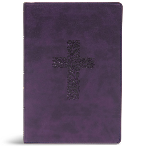 KJV Rainbow Study Bible, Purple LeatherTouch by Holman Bible Publishers, 9781087722054