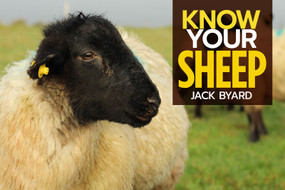Know Your Sheep by Jack Byard, 9781912158508
