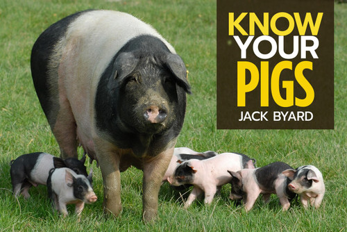 Know Your Pigs - 9781912158546 by Jack Byard, 9781912158546