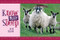 Know More Sheep by Jack Byard, 9781906853006