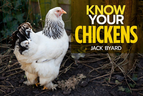 Know Your Chickens - 9781912158478 by Jack Byad, 9781912158478
