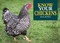 Know Your Chickens - 9781912158478 by Jack Byard, 9781912158478