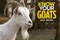 Know Your Goats by Jack Byard, 9781912158485