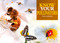 Know Your Pollinators by Tim Harris, 9781912158553