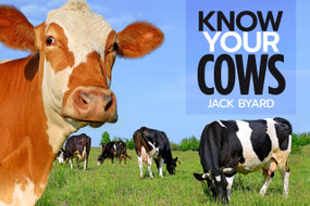 Know Your Cows - 9781912158461 by Jack Byard