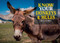 Know Your Donkeys & Mules - 9781912158560 by Jack Byard, 9781912158560