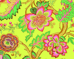 Soul Blossoms Eco-Notecards by Amy Butler, 9781452111100