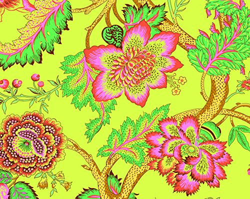 Soul Blossoms Eco-Notecards by Amy Butler, 9781452111100