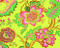 Soul Blossoms Eco-Notecards by Amy Butler, 9781452111100
