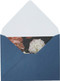 Pretty Peonies (20 Different Notecards and Envelopes) (Miniature Edition) by Kari Herer, 9781452145051