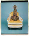 Good Dogs on Nice Furniture Notes (20 Different Notecards & Envelopes) (Miniature Edition) by William Wegman, 9781452166636