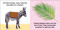 Baby's First Easter - 9780744026580 by DK