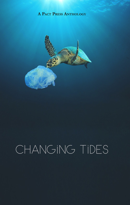 Changing Tides by Michelle Rosquillo, Jaynie Royal, 9781646031597