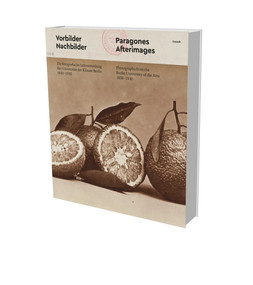 Paragons Afterimages (Photographs from the Berlin University of the Arts, 1850-1930) by Ludger Derenthal, Anastasia Dittmann, Monika Faber, Antje Kalcher, Hubert Locher, Kristina Lowis, Ulrich Pohlmann, Dietmar Schenk, 9783864423055