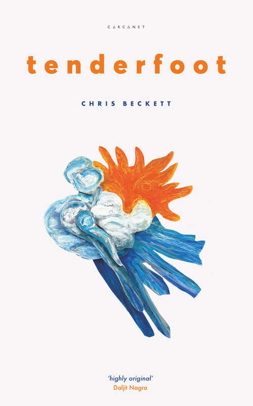 Tenderfoot by Chris Beckett, 9781784109714