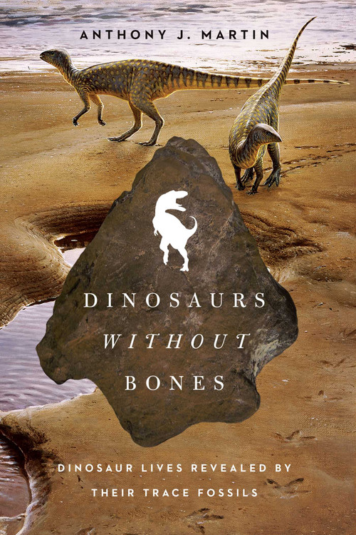 Dinosaurs Without Bones - 9781605984995 by Anthony J Martin, 9781605984995