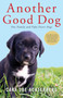 Another Good Dog by Cara Sue Achterberg, 9781643132495