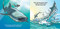 Bath Time Sharks by Adam Gamble, Mark Jasper, Harvey Stevenson, 9781602198784
