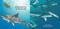 Bath Time Sharks by Adam Gamble, Mark Jasper, Harvey Stevenson, 9781602198784