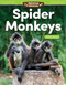 Amazing Animals: Spider Monkeys (Place Value) by Logan Avery, 9781425856786