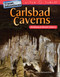 Travel Adventures: Carlsbad Caverns (Identifying Arithmetic Patterns) by Dona Herweck Rice, 9781480757981