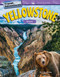 Travel Adventures: Yellowstone (Volume) by Ben Nussbaum, 9781425858094