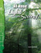 All About Light and Sound by Connie Jankowski, 9780743905794
