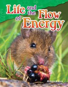 Life and the Flow of Energy by William B. Rice, William Rice, William Rice, 9781480747159