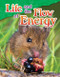 Life and the Flow of Energy by William B. Rice, William Rice, William Rice, 9781480747159