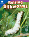 Raising Silkworms by Anne Montgomery, 9781493866489