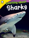 Learning about Sharks by Joseph Otterman, 9781493866328