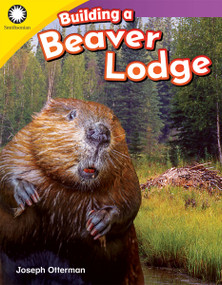 Building a Beaver Lodge by Joseph Otterman, 9781493866335